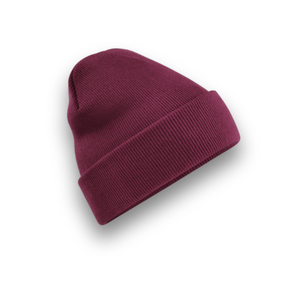 LE BONNET À REVERS