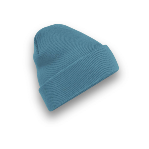 LE BONNET À REVERS – Image 4